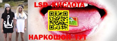 сатива Волгодонск