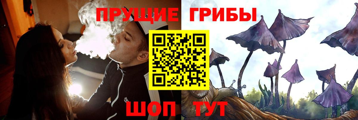 Псилоцибиновые грибы ЛСД  Вход с VPN  Усть-Лабинск 